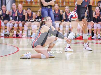 Thumbnail 1 in Brighton @ Bountiful photogallery.