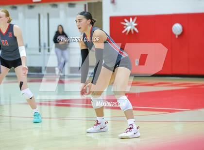 Thumbnail 1 in Brighton @ Bountiful photogallery.