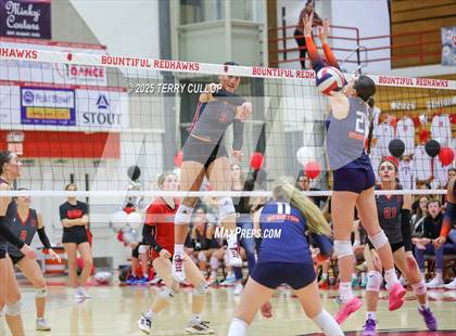 Thumbnail 2 in Brighton @ Bountiful photogallery.