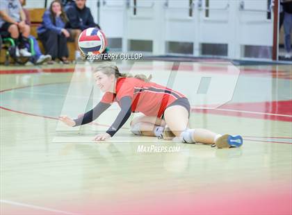 Thumbnail 2 in Brighton @ Bountiful photogallery.