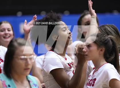 Thumbnail 1 in Marcus @ Plano West photogallery.