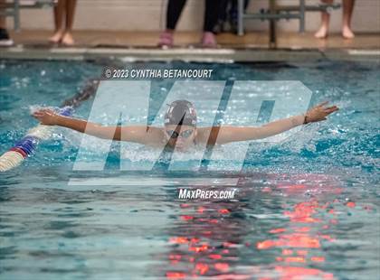 Thumbnail 1 in Ponderosa vs Douglas County photogallery.