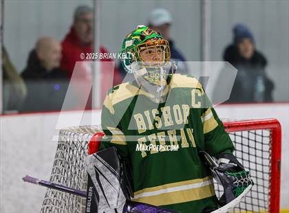 Thumbnail 1 in Bishop Feehan @ Archbishop Williams (Hockey for Heroes) photogallery.