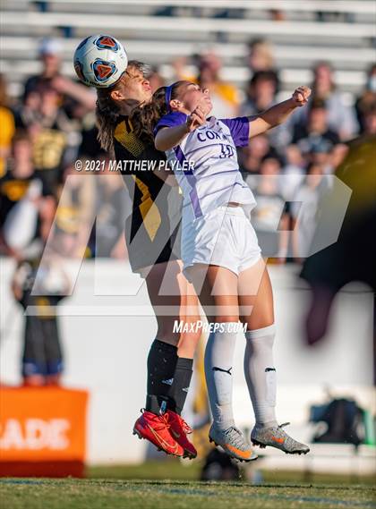 Thumbnail 3 in Chapel Hill vs. Cox Mill (1 of 2 - NCHSAA 3A Final - the game) photogallery.