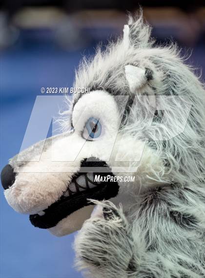 Thumbnail 2 in Clarkston vs. Mercy (MHSAA Division 1 Semifinal) photogallery.