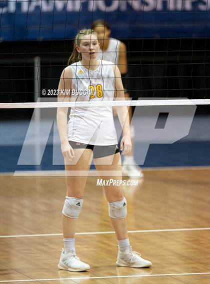 Thumbnail 3 in Clarkston vs. Mercy (MHSAA Division 1 Semifinal) photogallery.