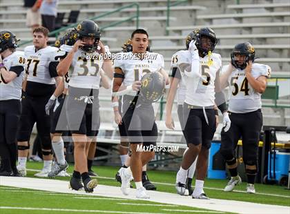 Thumbnail 3 in Crandall @ Poteet photogallery.