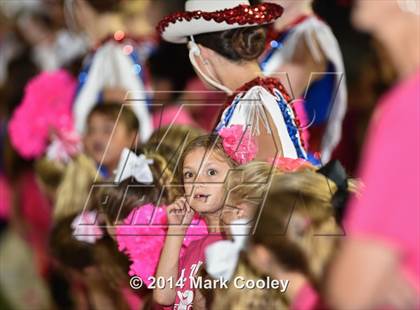 Thumbnail 3 in Harker Heights @ Midway photogallery.