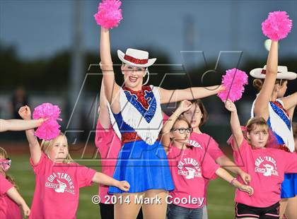 Thumbnail 3 in Harker Heights @ Midway photogallery.