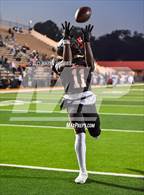 Photo from the gallery "Pine Tree @ Texas"