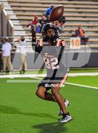 Photo from the gallery "Pine Tree @ Texas"