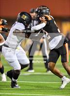 Photo from the gallery "Pine Tree @ Texas"