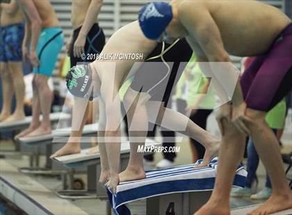 Thumbnail 2 in NCHSAA 4A State Swimming Championship (Finals) photogallery.