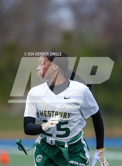 Thumbnail 2 in Westbury @ Hempstead photogallery.