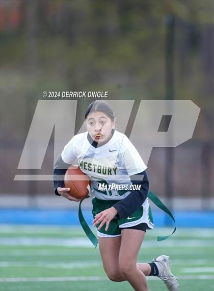 Thumbnail 2 in Westbury @ Hempstead photogallery.