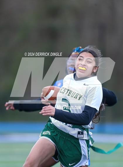 Thumbnail 3 in Westbury @ Hempstead photogallery.