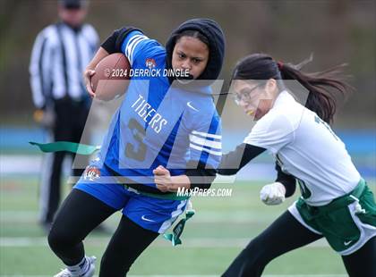 Thumbnail 2 in Westbury @ Hempstead photogallery.