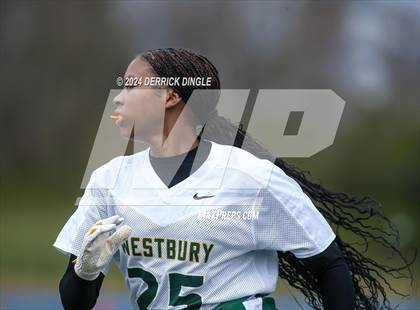 Thumbnail 1 in Westbury @ Hempstead photogallery.