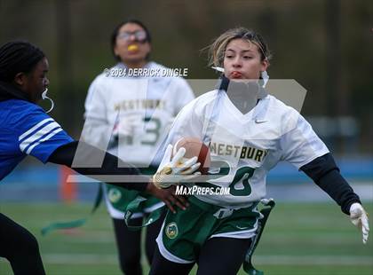 Thumbnail 3 in Westbury @ Hempstead photogallery.