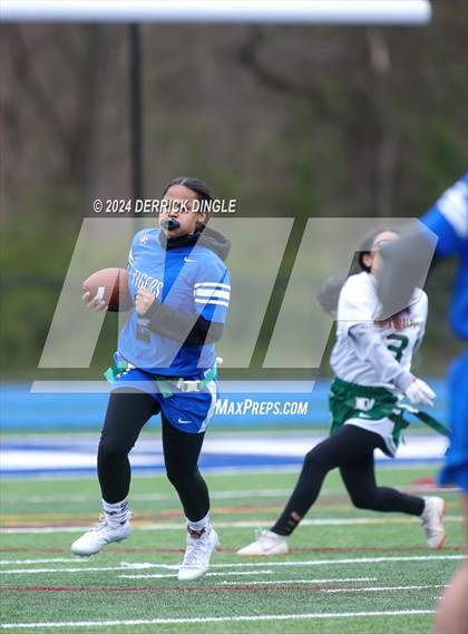 Thumbnail 1 in Westbury @ Hempstead photogallery.