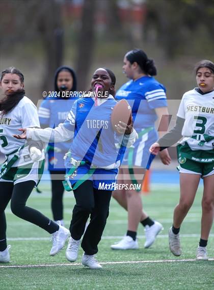 Thumbnail 3 in Westbury @ Hempstead photogallery.