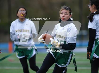 Thumbnail 2 in Westbury @ Hempstead photogallery.