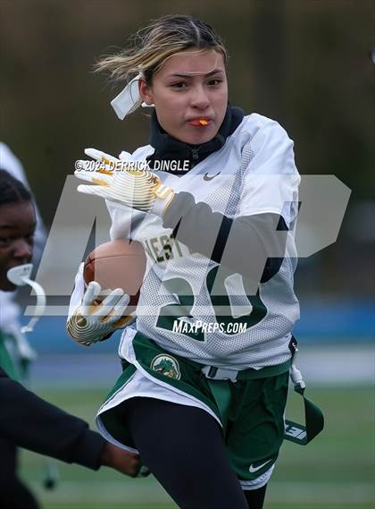 Thumbnail 2 in Westbury @ Hempstead photogallery.