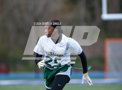Thumbnail 3 in Westbury @ Hempstead photogallery.