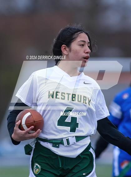 Thumbnail 2 in Westbury @ Hempstead photogallery.