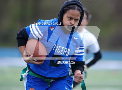 Thumbnail 3 in Westbury @ Hempstead photogallery.