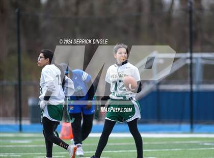 Thumbnail 2 in Westbury @ Hempstead photogallery.