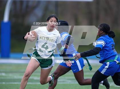 Thumbnail 1 in Westbury @ Hempstead photogallery.