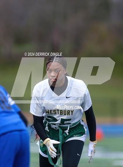 Thumbnail 3 in Westbury @ Hempstead photogallery.