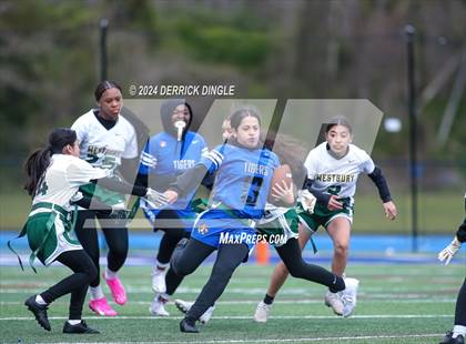 Thumbnail 3 in Westbury @ Hempstead photogallery.
