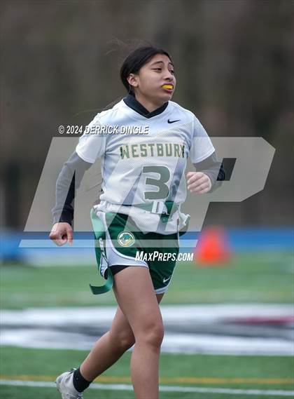 Thumbnail 2 in Westbury @ Hempstead photogallery.