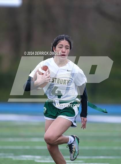 Thumbnail 2 in Westbury @ Hempstead photogallery.