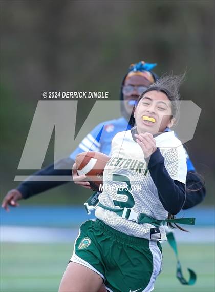 Thumbnail 1 in Westbury @ Hempstead photogallery.