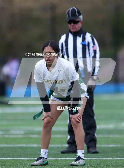 Thumbnail 2 in Westbury @ Hempstead photogallery.