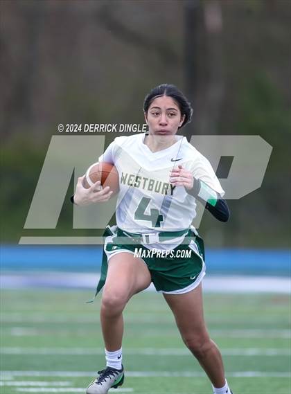 Thumbnail 1 in Westbury @ Hempstead photogallery.