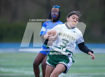 Thumbnail 2 in Westbury @ Hempstead photogallery.