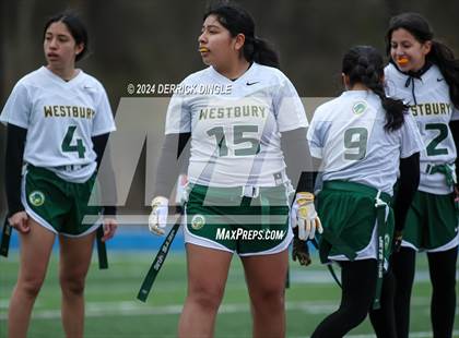 Thumbnail 3 in Westbury @ Hempstead photogallery.