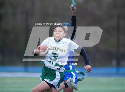 Thumbnail 2 in Westbury @ Hempstead photogallery.