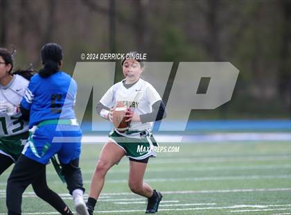 Thumbnail 3 in Westbury @ Hempstead photogallery.