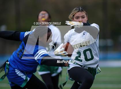 Thumbnail 1 in Westbury @ Hempstead photogallery.