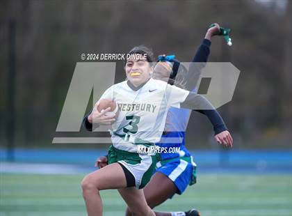 Thumbnail 1 in Westbury @ Hempstead photogallery.