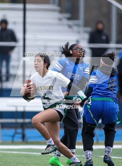 Thumbnail 1 in Westbury @ Hempstead photogallery.