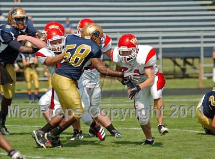 Thumbnail 1 in Williamsville East @ Sweet Home photogallery.