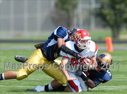 Thumbnail 2 in Williamsville East @ Sweet Home photogallery.