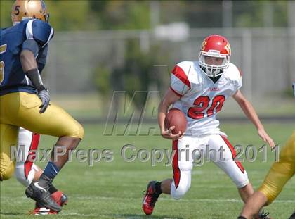 Thumbnail 3 in Williamsville East @ Sweet Home photogallery.