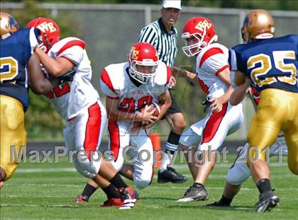 Thumbnail 1 in Williamsville East @ Sweet Home photogallery.